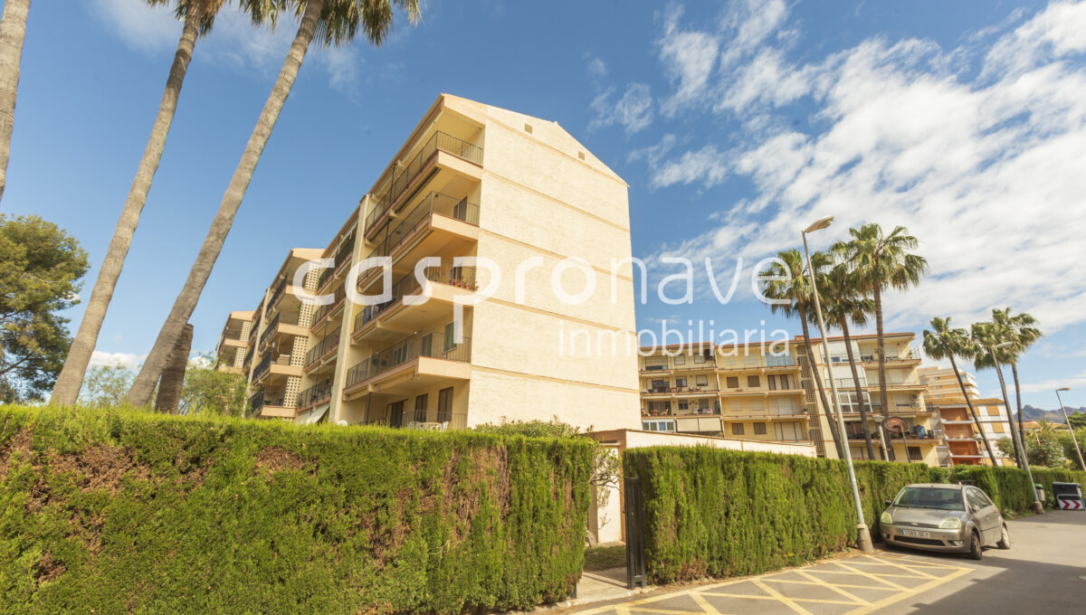 obturados__U5A0197