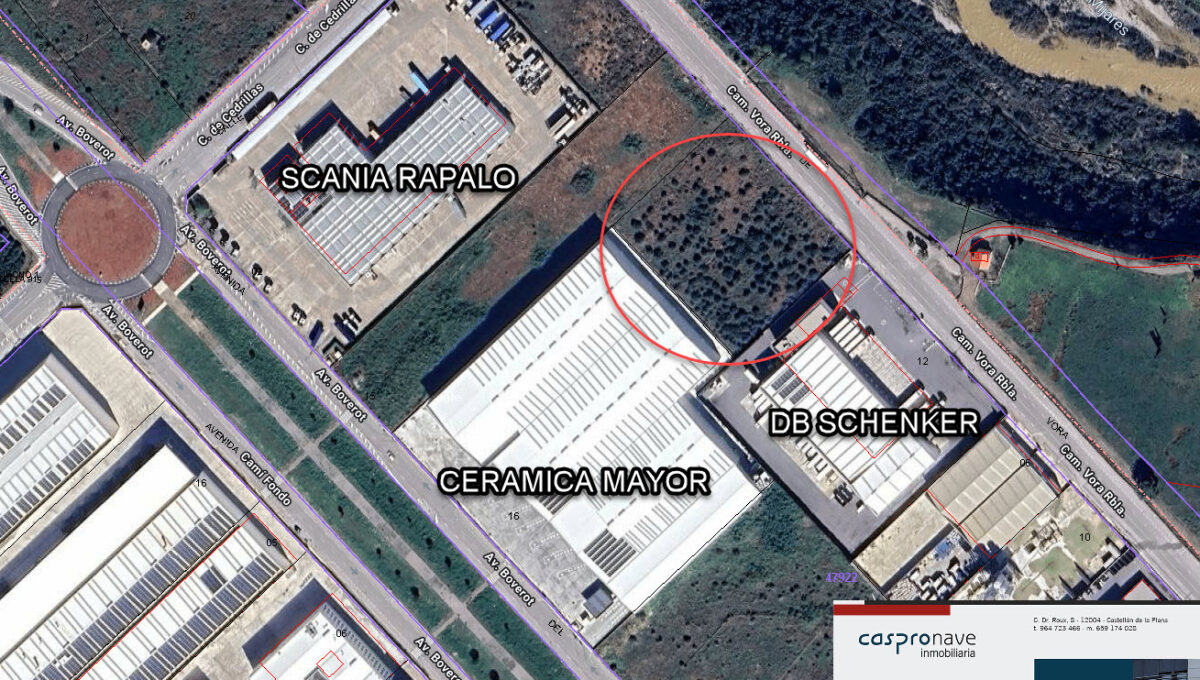 Imagen de WhatsApp 2025-06-25 a las 14.07.00_7c888c14