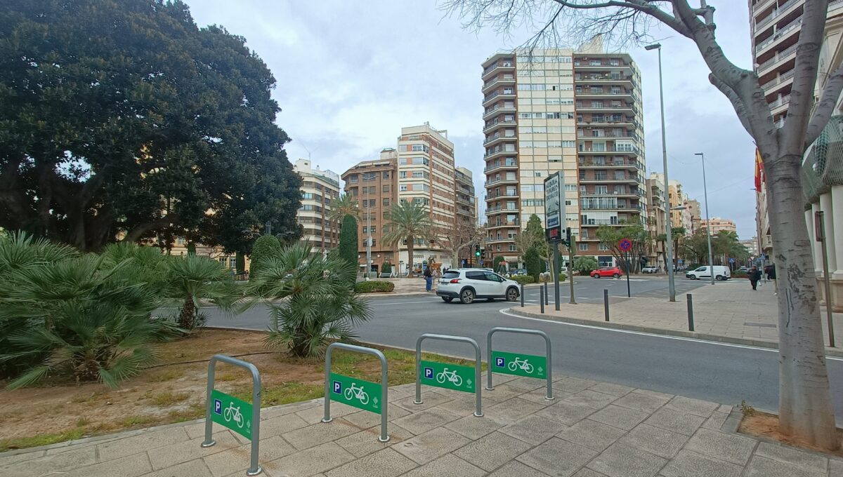IMG20250218113459