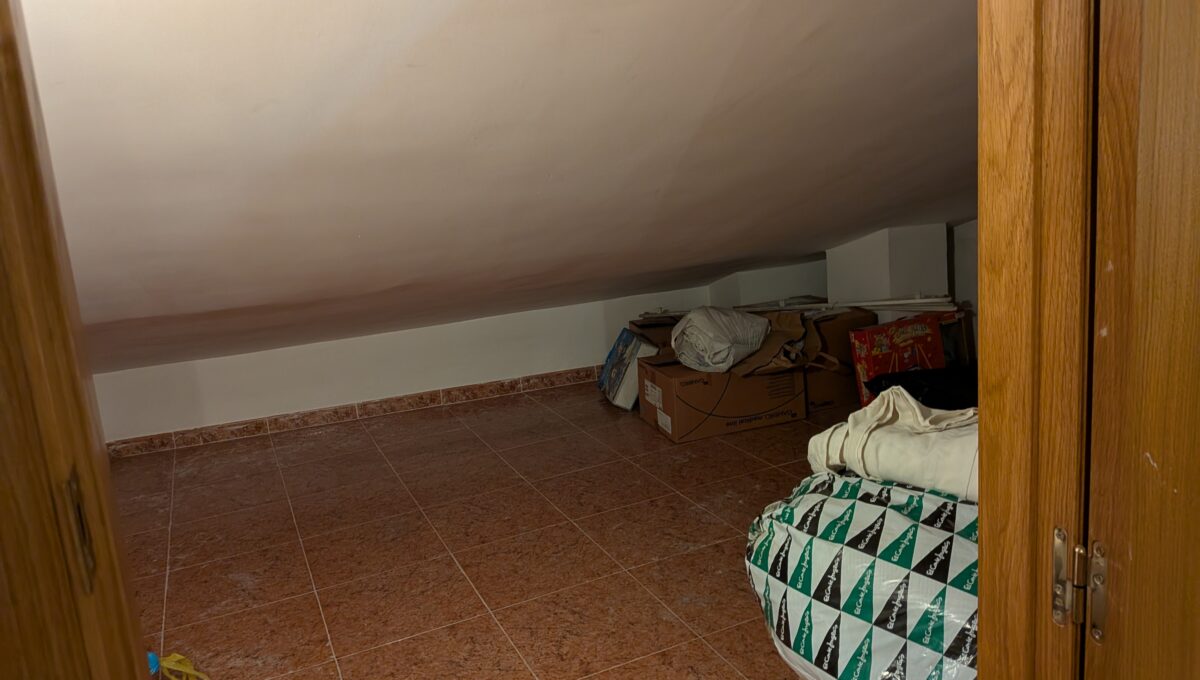 PXL_20250613_105151216.MP