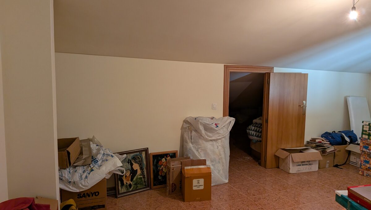 PXL_20250613_105208981