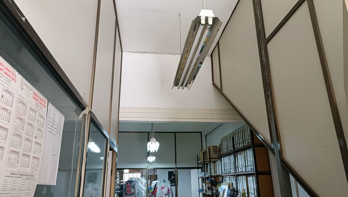 IMG20250310120915